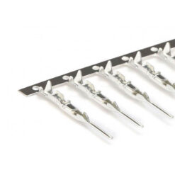 AR0147_Dupont_Terminal_Macho