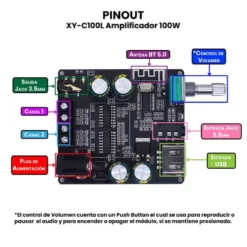 AR3043 - XY-C100L Amplificador 100W PINOUT