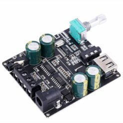 XY-C100L Amplificador 100W
