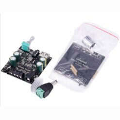 XY-C100L Amplificador 100W