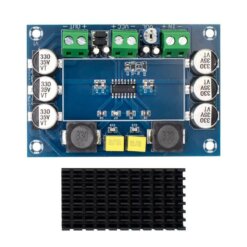 Amplificador de Audio TPA3116D2 100W