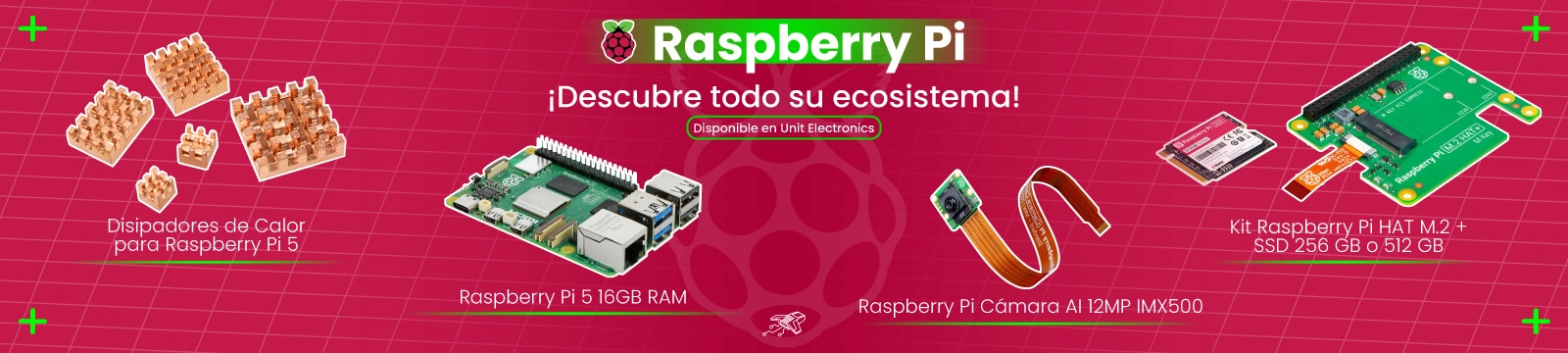 PW.Raspberry-Pi2026